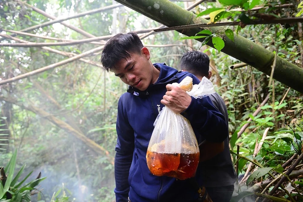 “Thợ săn” ong rừng kiếm tiền triệu mỗi ngày ở đại ngàn miền Tây Thanh Hóa-1.jpg