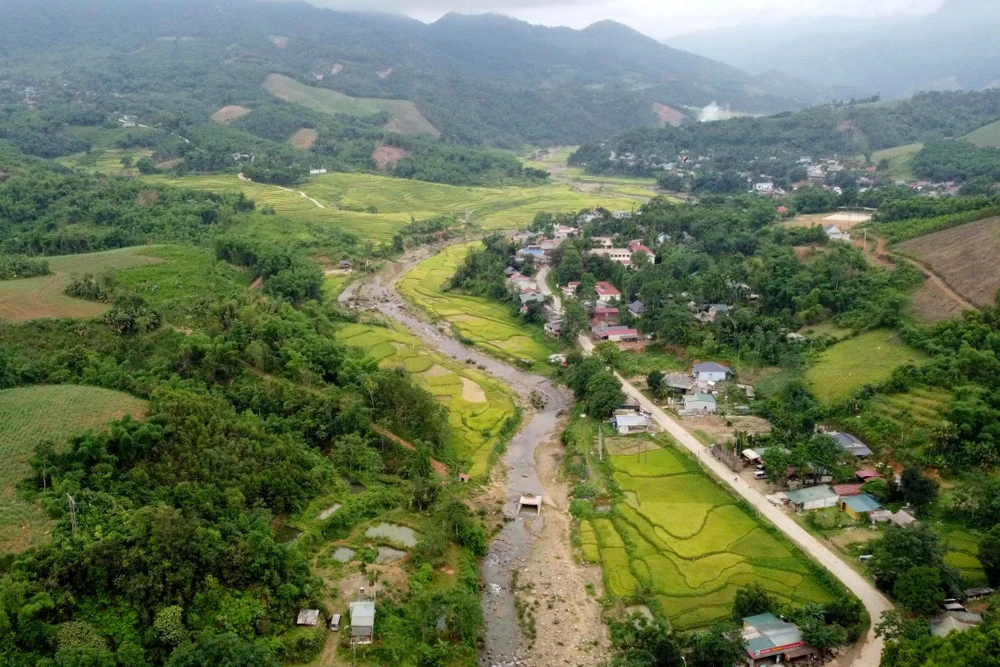 “Thợ săn” ong rừng kiếm tiền triệu mỗi ngày ở đại ngàn miền Tây Thanh Hóa-10.jpg