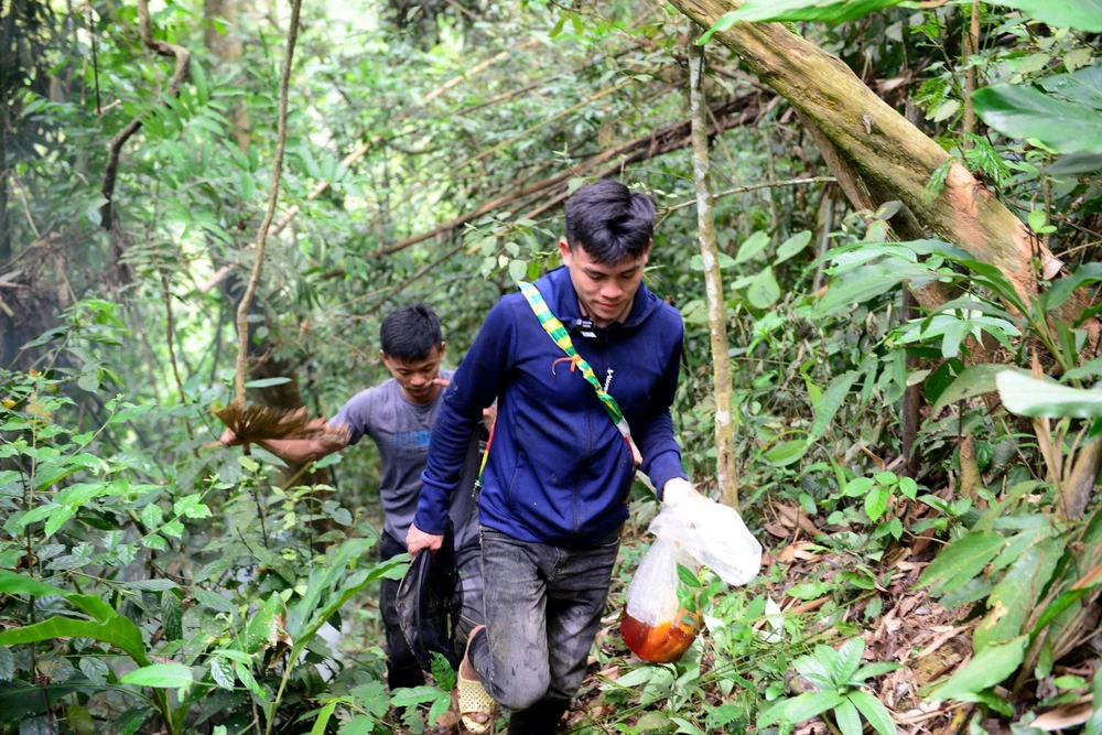 “Thợ săn” ong rừng kiếm tiền triệu mỗi ngày ở đại ngàn miền Tây Thanh Hóa-7.jpg