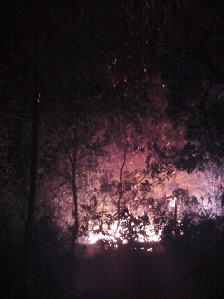 Hơn 10ha rừng thực bì và cây tự nhiên cháy trong điều kiện hanh khô, gió to nên công tác dập lửa kéo dài đến 13 giờ đồng hồ