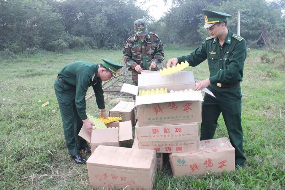 Tiêu hủy 15.000 trứng gà Trung Quốc ảnh 1