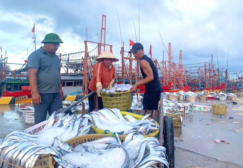 Các tàu cập bờ tránh bão đều mang cá đầy khoang. (Ảnh: BT)