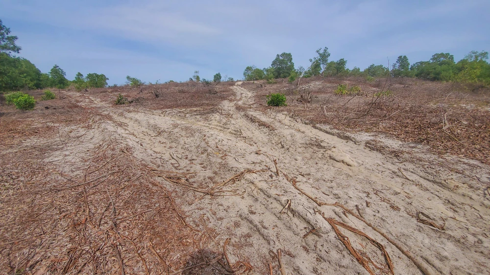 Hiện trường vụ phá rừng tại khu vực Bàu Sen, xã Sen Thuỷ. Ảnh: BẢO THIÊN