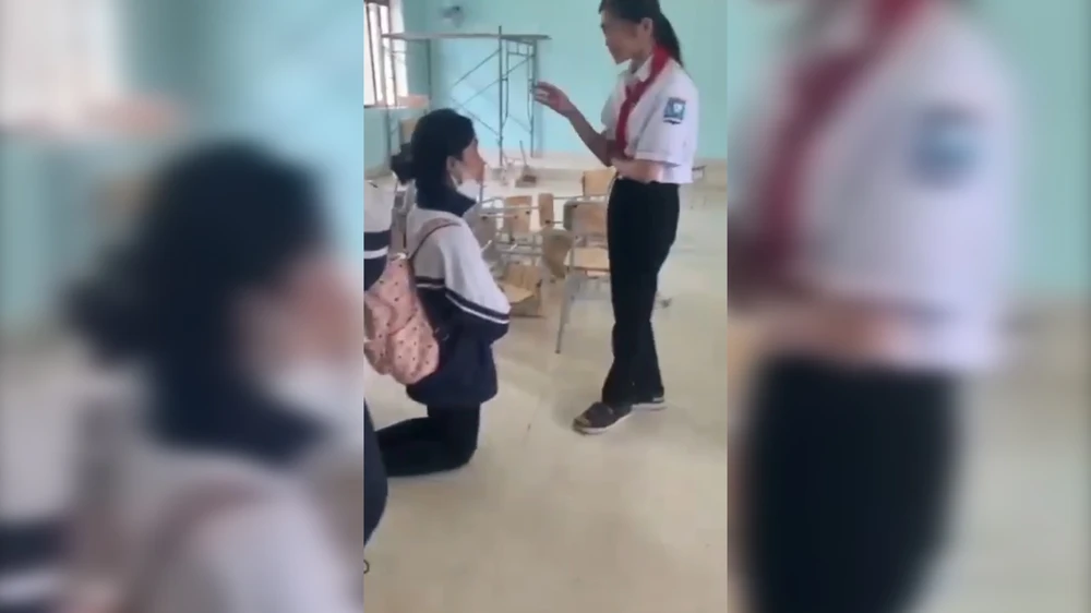 Hình ảnh cắt từ clip.