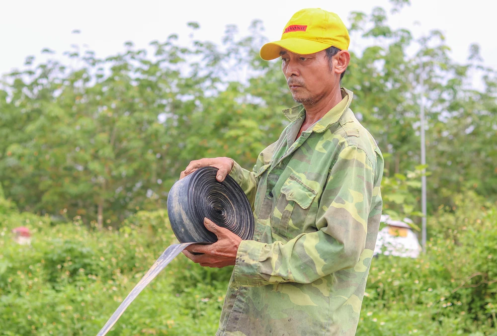 Ông Đồng thu lại hệ thống ống nước tưới nước cho ruộng dưa gần 4 tháng qua với vẻ mặt buồn bã. Ảnh: BẢO THIÊN