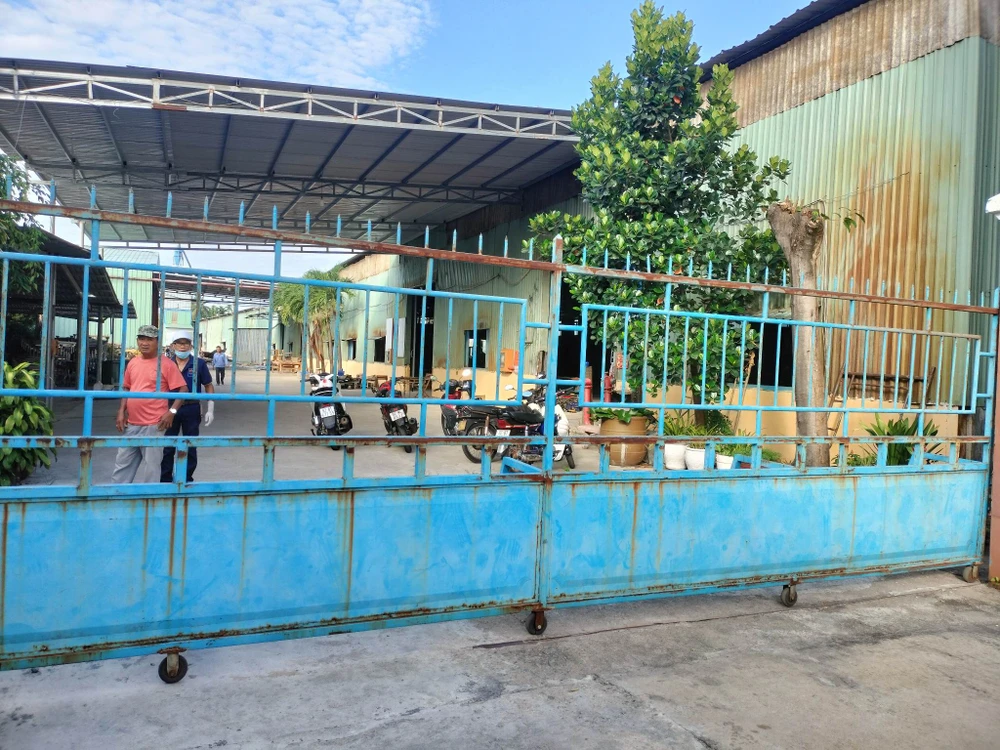 Khuôn viên Công ty Xí nghiệp lâm đặc sản Tam Kỳ. Ảnh: T.N