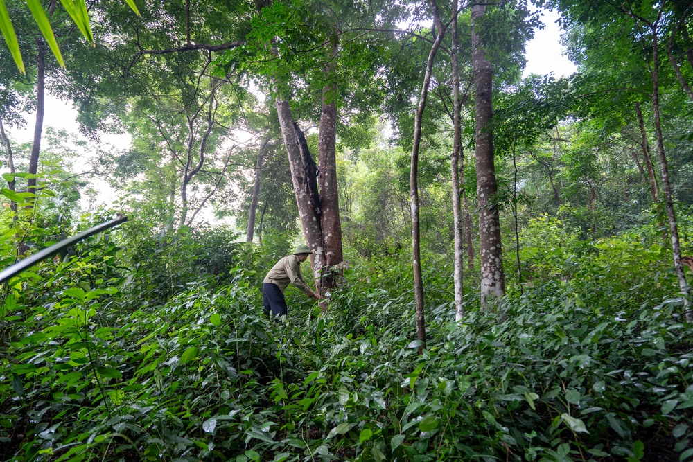 ve-dep-cua-vung-ron-lu-duoc-the-gioi-vinh-danh (11).JPG