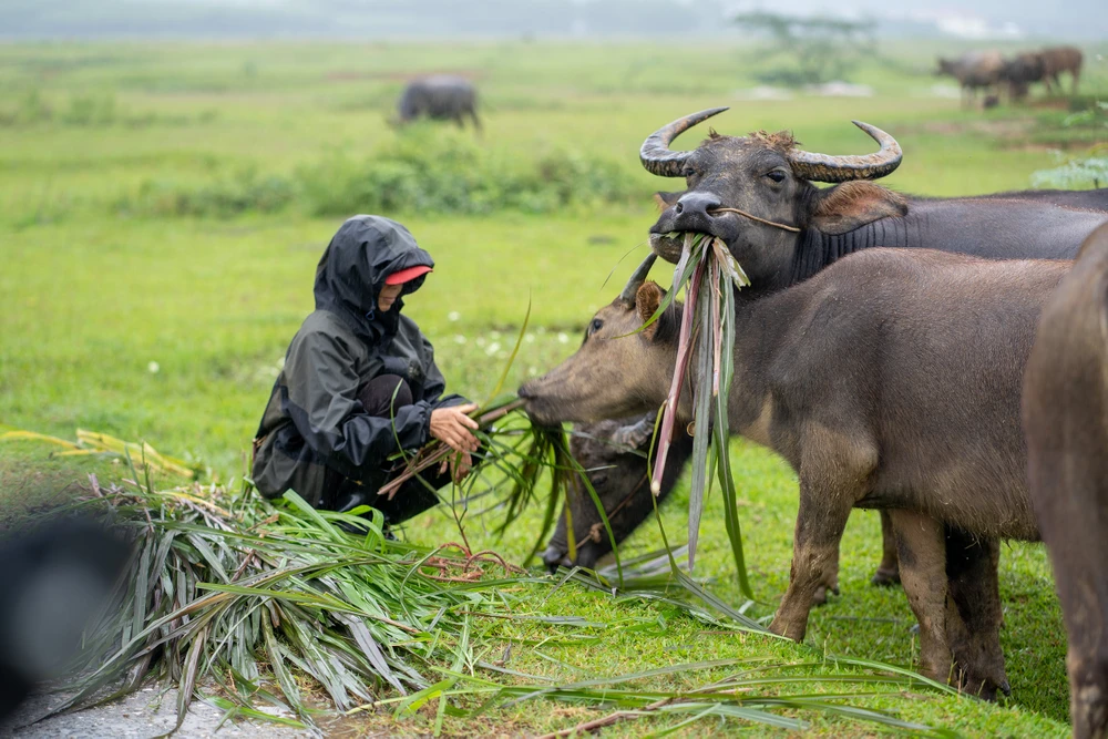 ve-dep-cua-vung-ron-lu-duoc-the-gioi-vinh-danh (4).JPG