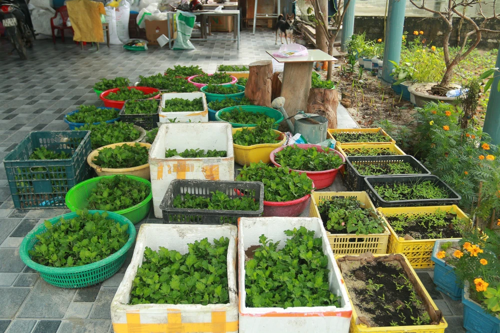 Nong-dan-Quang-Binh-ra-suc-cuu-hoa-mau-bi-ngap-ung-do-mua-lon (4).jpg