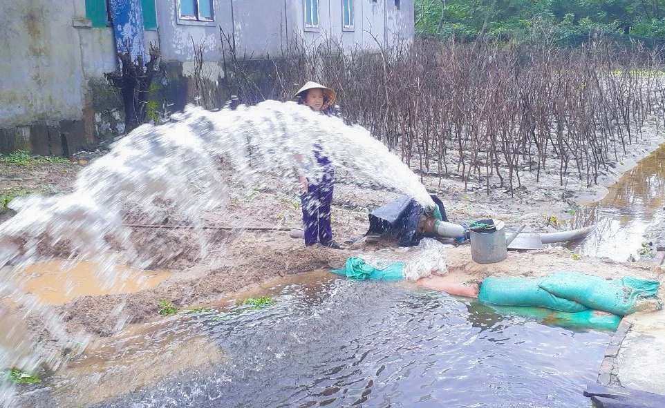 Nong-dan-Quang-Binh-ra-suc-cuu-hoa-mau-bi-ngap-ung-do-mua-lon (9).jpg