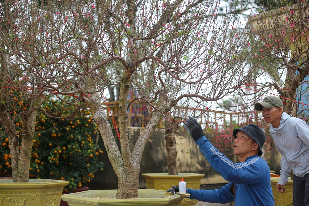 Dao-quat-xuong-pho-ron-rang-khong-khi-tet-o-quang-binh (11).JPG