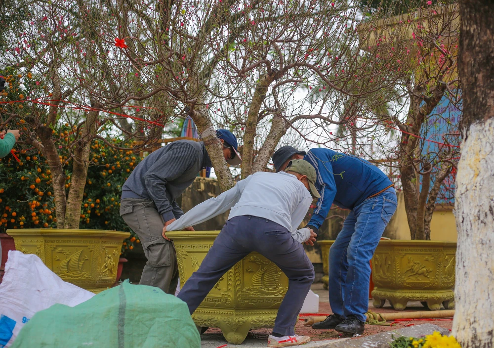 Dao-quat-xuong-pho-ron-rang-khong-khi-tet-o-quang-binh (14).JPG