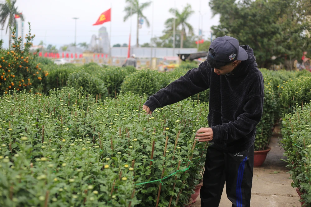 Dao-quat-xuong-pho-ron-rang-khong-khi-tet-o-quang-binh (3).JPG