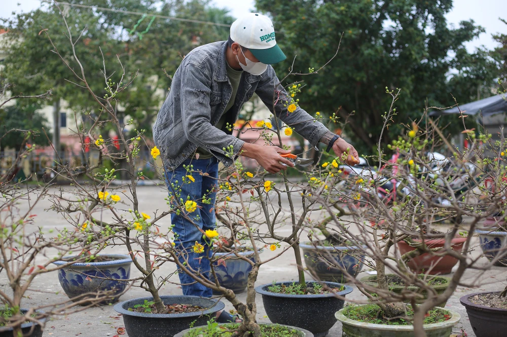 Dao-quat-xuong-pho-ron-rang-khong-khi-tet-o-quang-binh (5).JPG