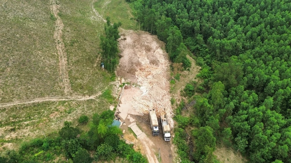 3-tram-can-thu-mua-go-keo-hoat-dong-trai-phep-o-Quang-Binh (3).jpg