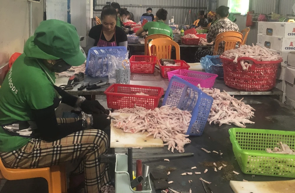 Phát hiện 3 tấn gà đông lạnh không rõ nguồn gốc ở Quảng Bình