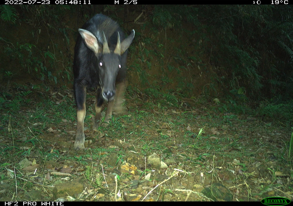 DCKNT 13__HLPWKO08119743__2022-07-23__05-48-11(12).JPG