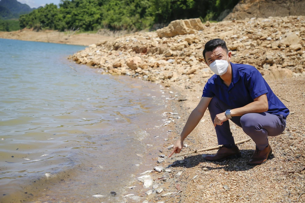 Cá chết hàng loạt ở hồ chứa nước thủy lợi lớn nhất Quảng Bình