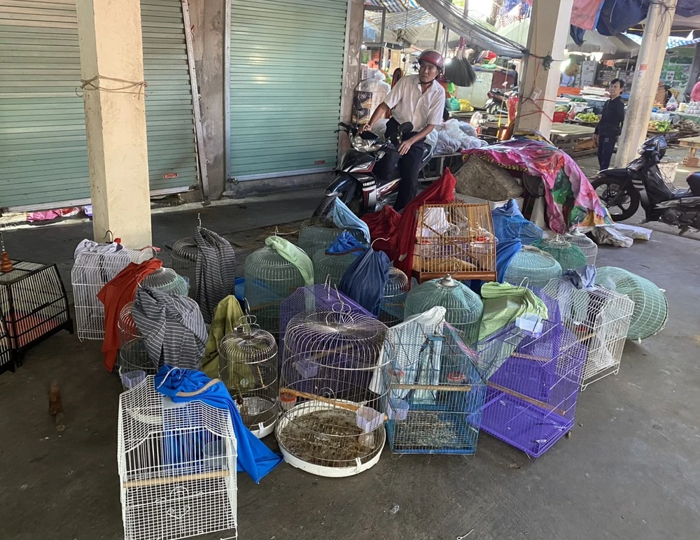 Quảng Bình: 4 thanh niên rủ nhau đến chợ trộm cắp tài sản, bán lấy tiền đi làm ăn