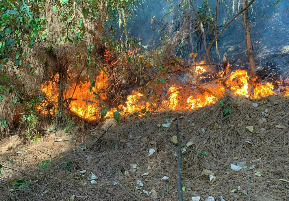 Hon-20-tieng-van-chua-the-dap-tat-vu-chay-rung-o-quang-binh (2).jpg