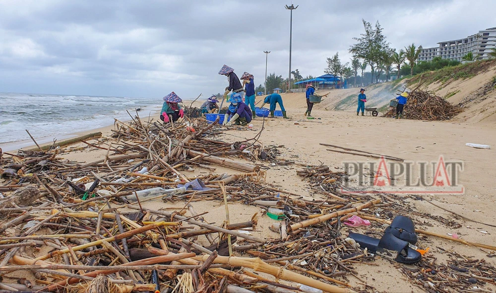 Rác thải bủa vây dọc bờ biển ở Quảng Bình