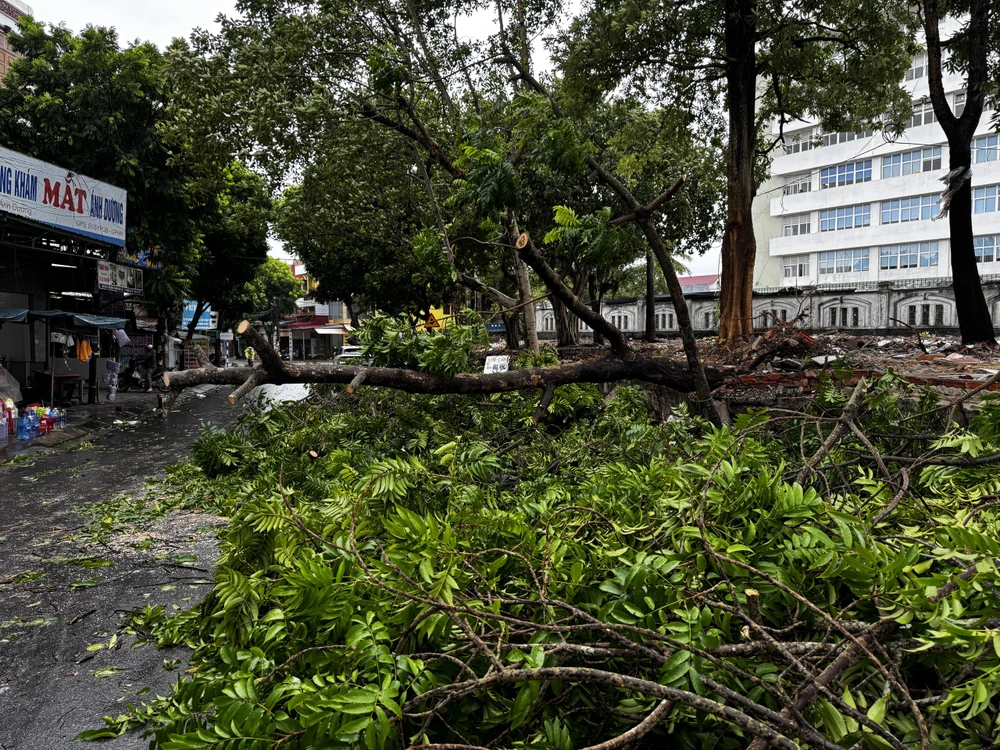 Quảng Bình: Cây xanh bật gốc, nhiều khu vực biên giới bị chia cắt