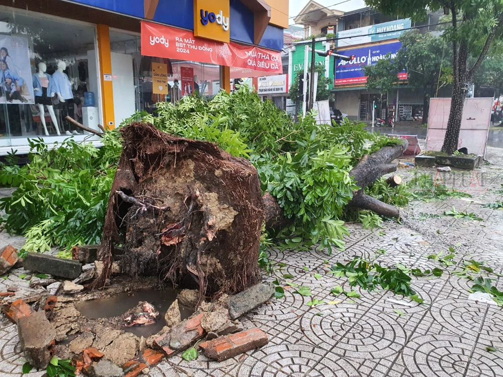 Quảng Bình: Cây xanh gãy đổ, mưa ‘trắng trời’ nguy cơ gây ngập lụt