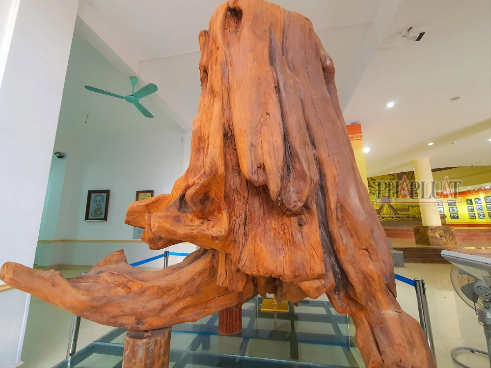 goc-go-sua-tai-quang-binh (2).jpg