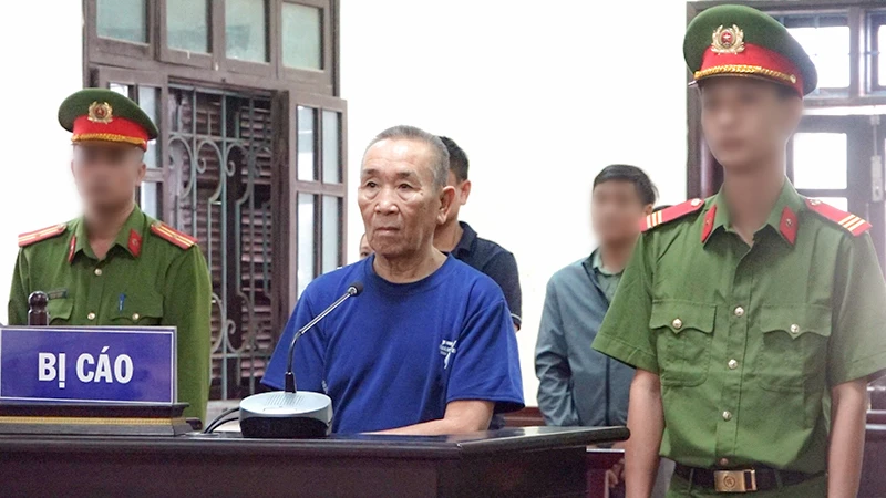 Người đàn ông 68 tuổi xâm phạm lợi ích của Nhà nước lãnh án 30 tháng tù