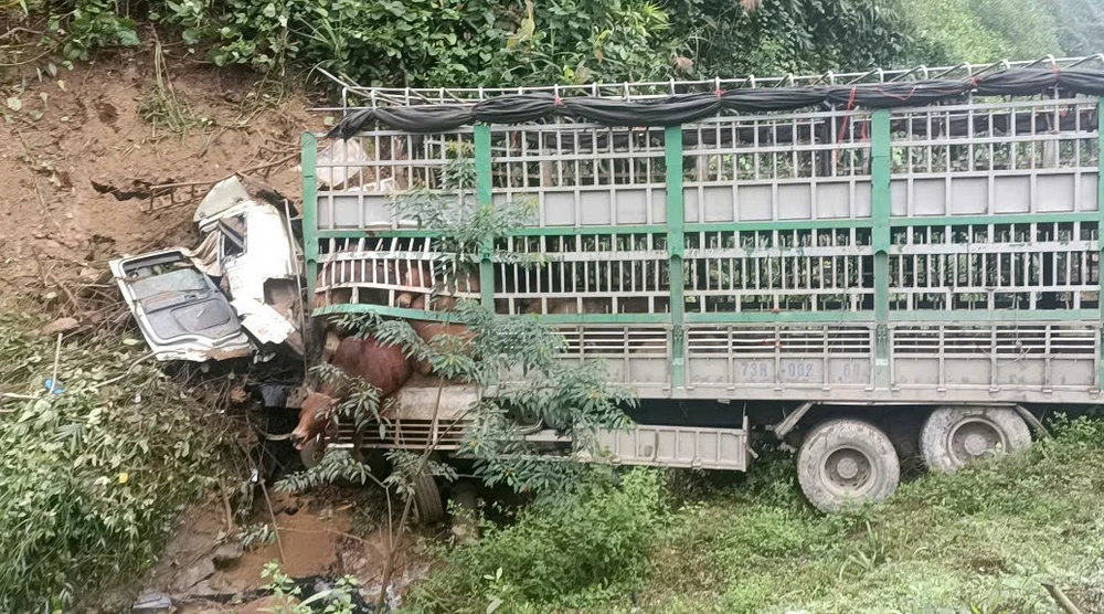 Xe tải chở 30 con bò mất lái lao xuống vực, tài xế tử vong trong cabin