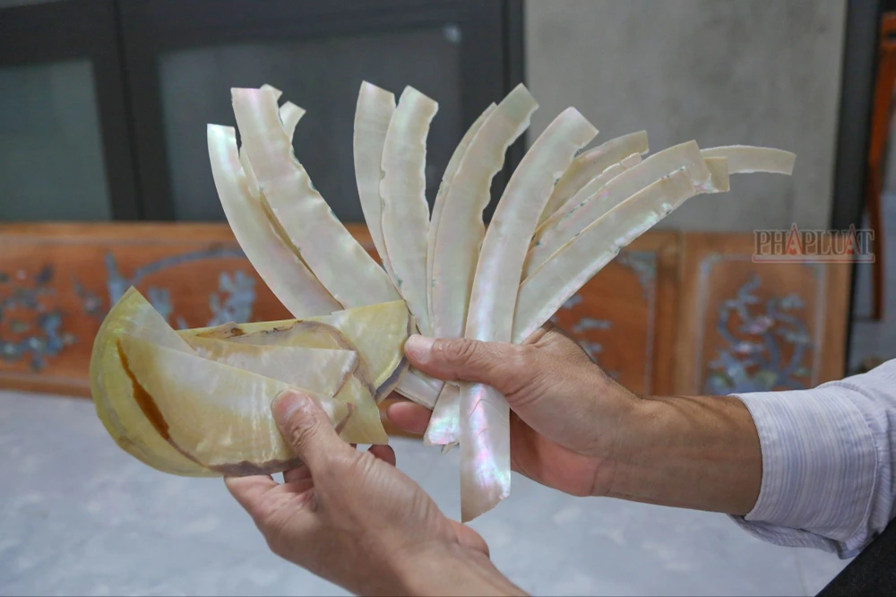 Cặp vợ chồng khuyết tật hơn 20 năm gắn bó với nghề khảm trai