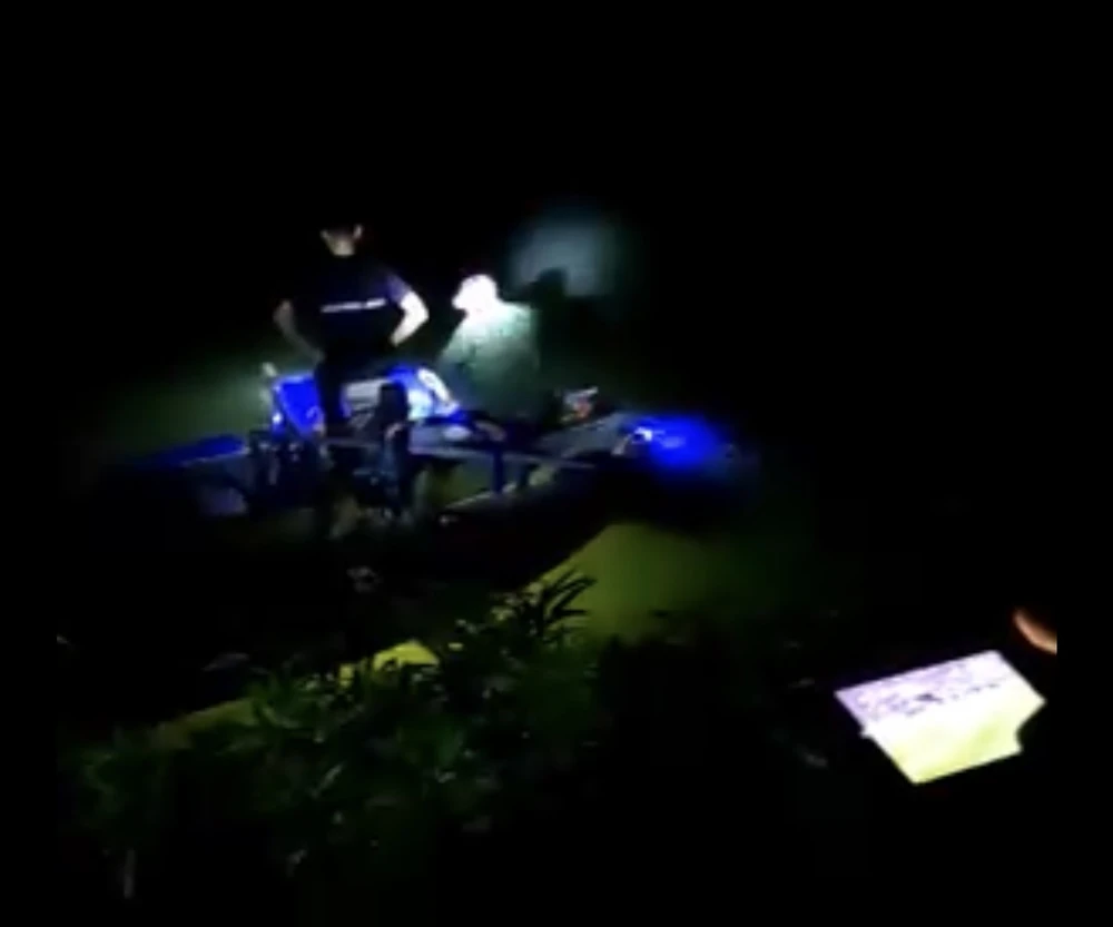 cay-sua-nam-vui-lap-duoi-long-suoi (2).jpg