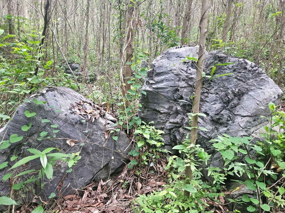 hon-20-ho-dan-thap-thom (1).jpg