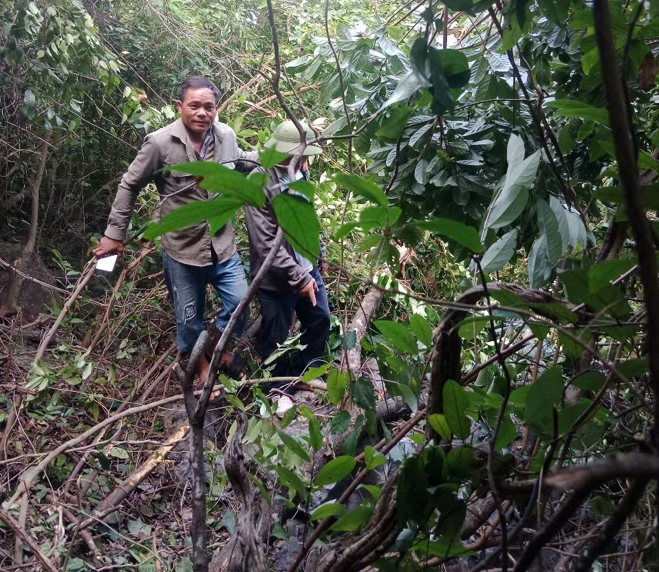 Quảng Bình: Hơn 20 hộ dân đối mặt nguy cơ bị đá núi lăn đè sập nhà