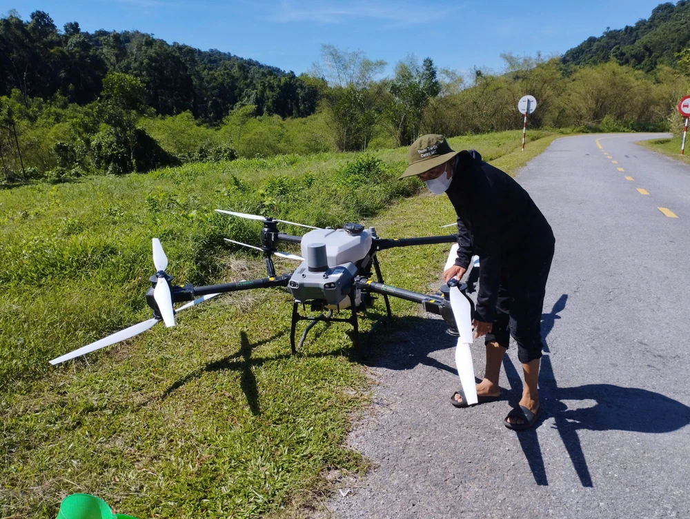 Quảng Bình: Dùng máy bay không người lái phun thuốc tiêu diệt châu chấu phá hoại cây luồng