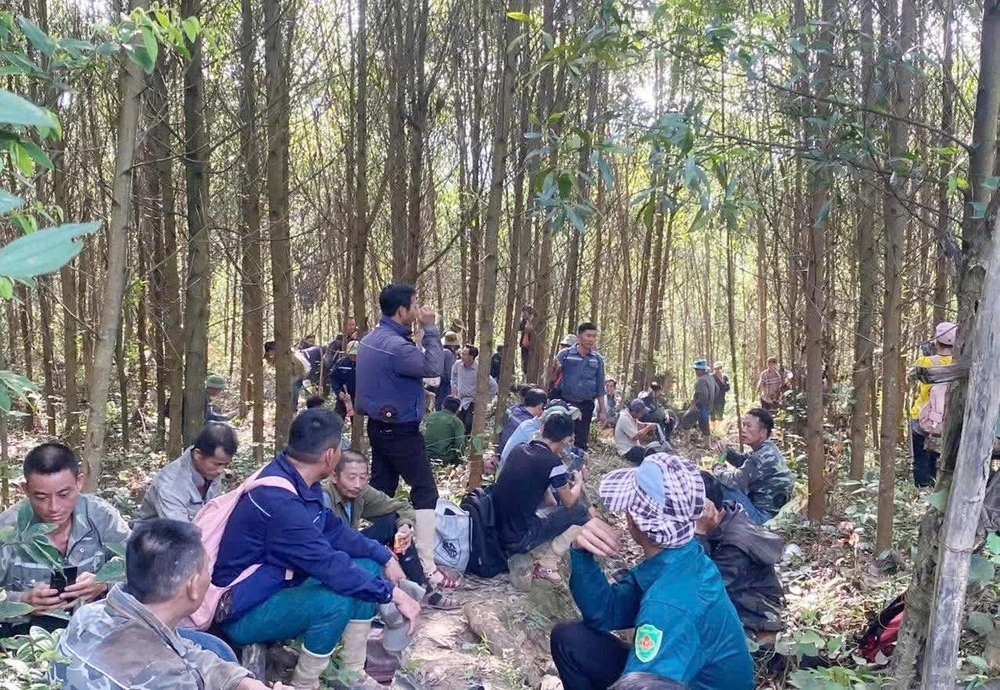 Tìm thấy người đàn ông vào rừng tìm mật ong sau hơn 2 tháng mất tích