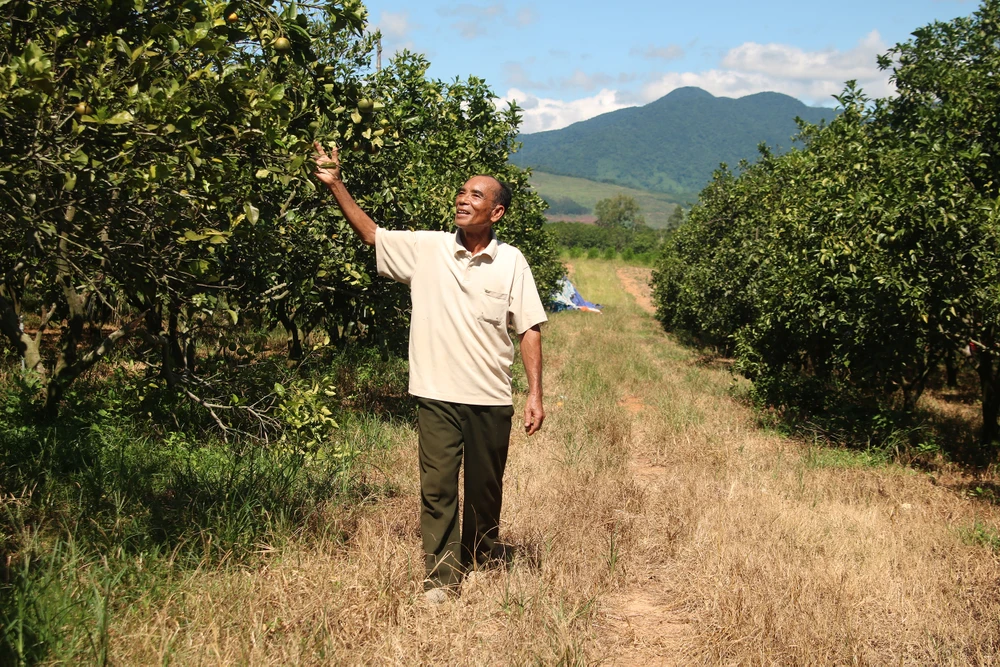 lao-nong-nguoi-nung-2-lan-tro-thanh-ti-phu-o-quang-tri (1).JPG