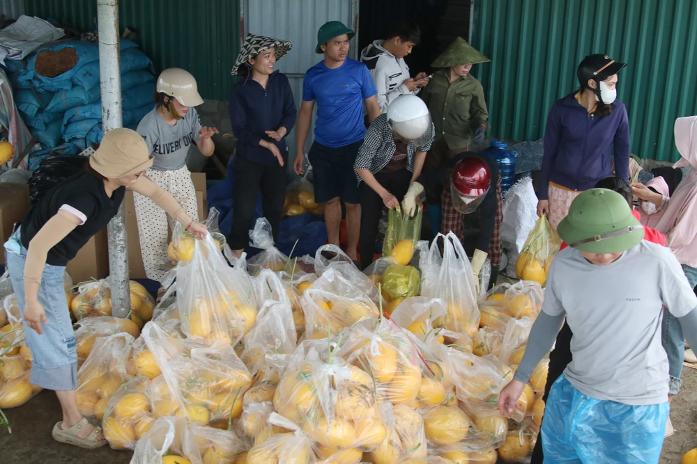 ruong-dua-luoi (12).JPG