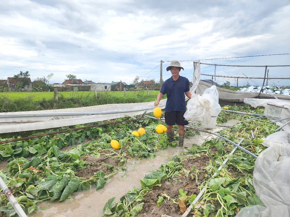 ruong-dua-luoi (9).jpg