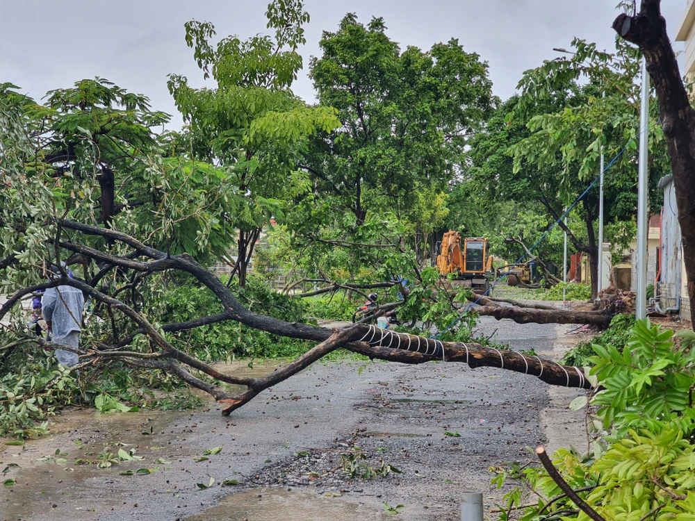 Đường sá Quảng Trị ngổn ngang sau khi bão số 10 quét qua