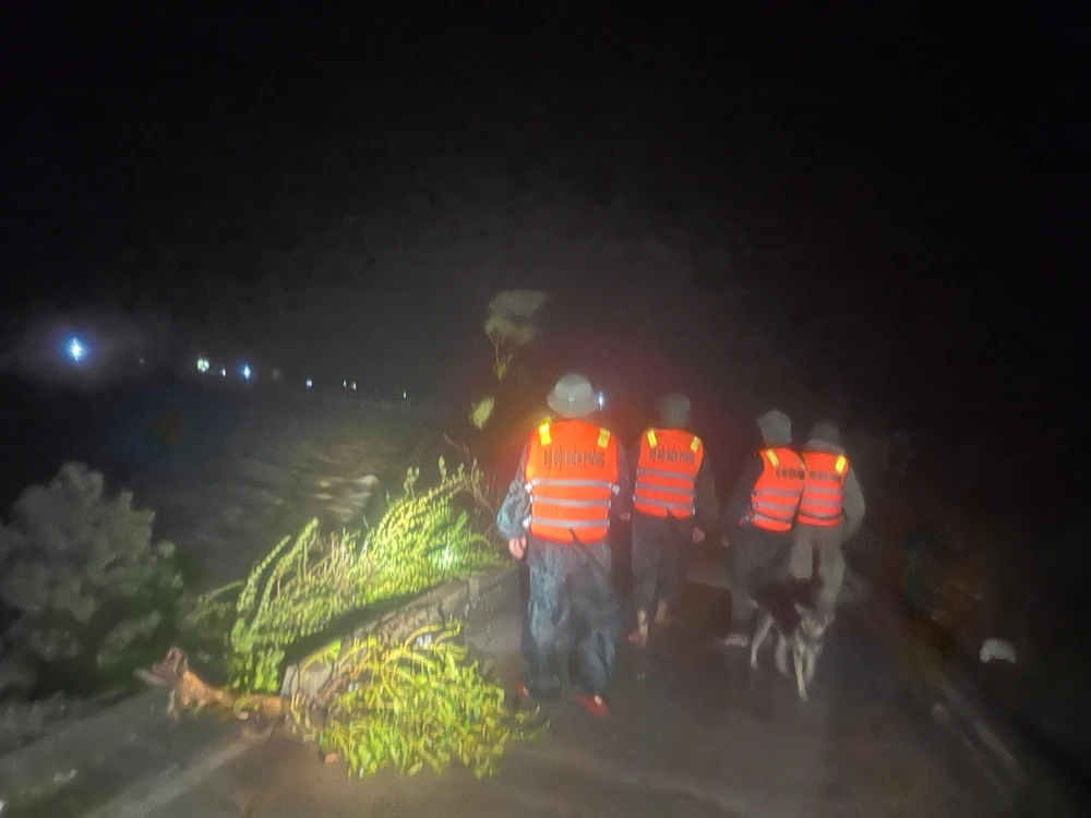 9 thuyền viên mất tích cùng 2 tàu cá do bị đứt dây neo ở Quảng Trị