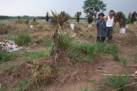 Tiết lộ lý do xác chị Huyền chưa phân hủy ảnh 2