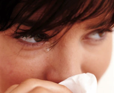 Chồng trốn nợ, vợ 'một mình chống mafia' ảnh 1