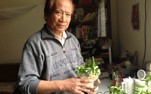 Chơi hoa thủy tiên thu lãi khủng - 1