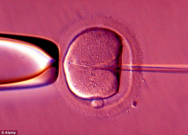 Bà ngoại quyết mang thai... cháu sau khi con gái qua đời - Ảnh 1