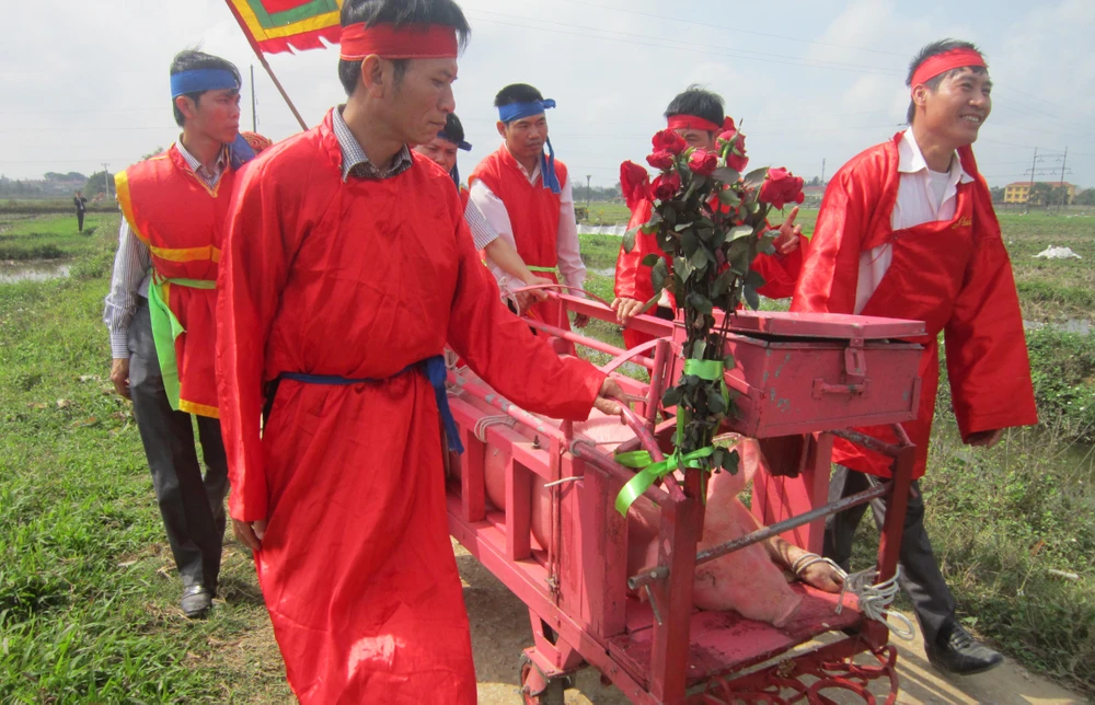 Leo cây xem hội chém lợn ảnh 1