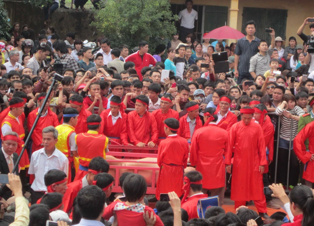 Leo cây xem hội chém lợn ảnh 7