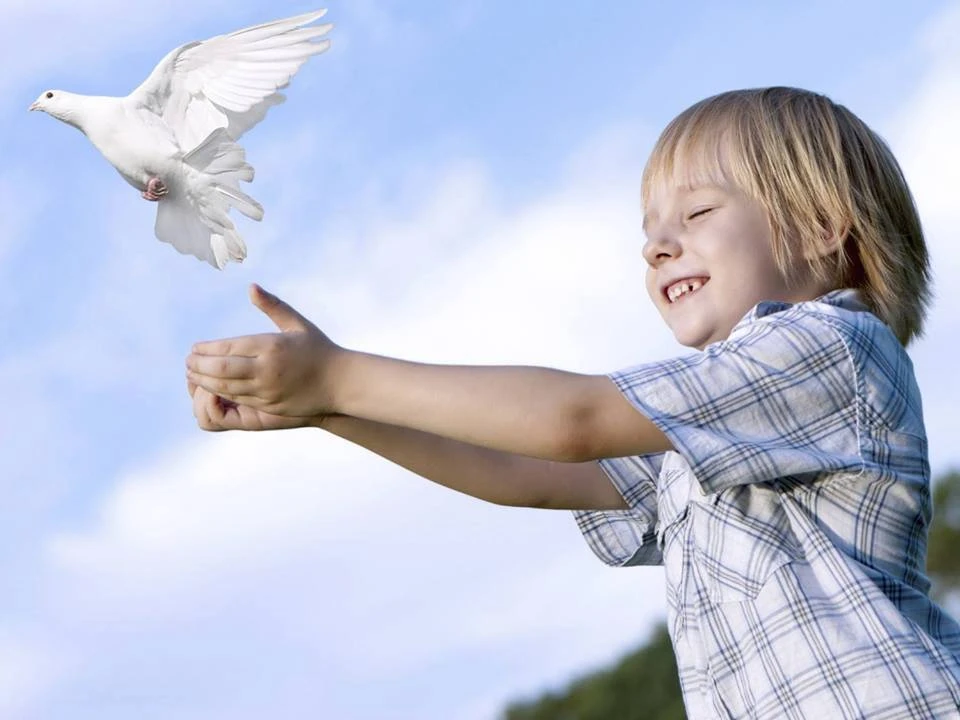 Vì sao trẻ chọn gây hấn thay vì ôn hòa? ảnh 6