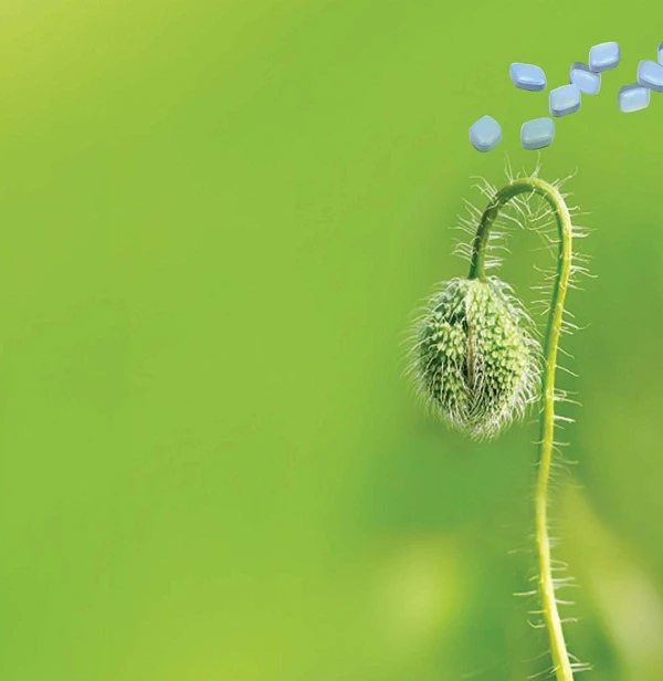 Các đấng mày râu hãy cảnh giác! ảnh 1