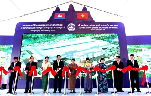 Vinamilk: Giấc mơ toàn cầu hóa thương hiệu ảnh 2